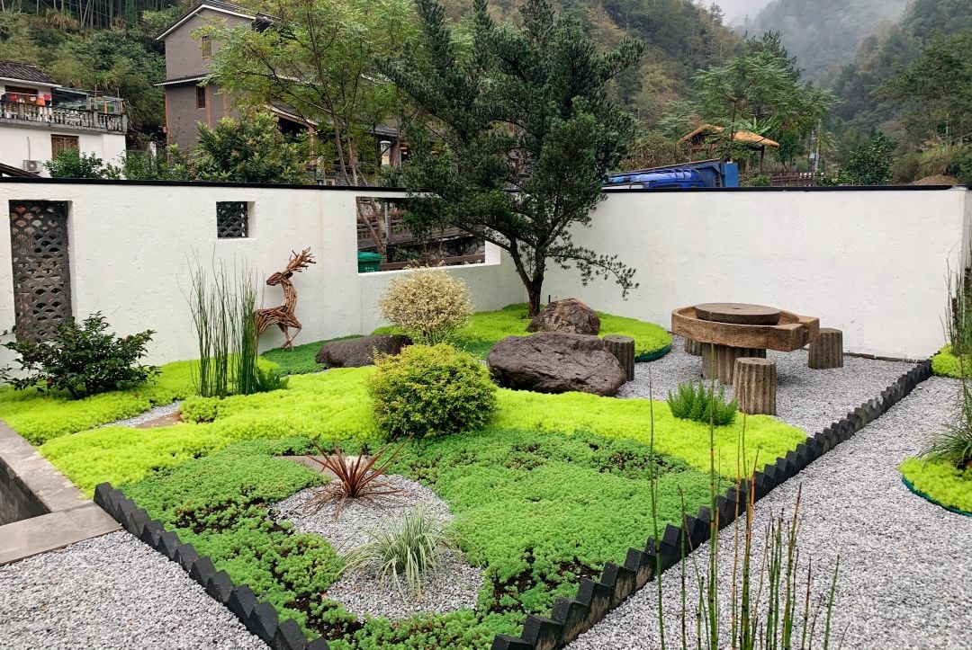 落地窗前|山间茶语 清茗飘香 在“山语间”邂逅诗意生活