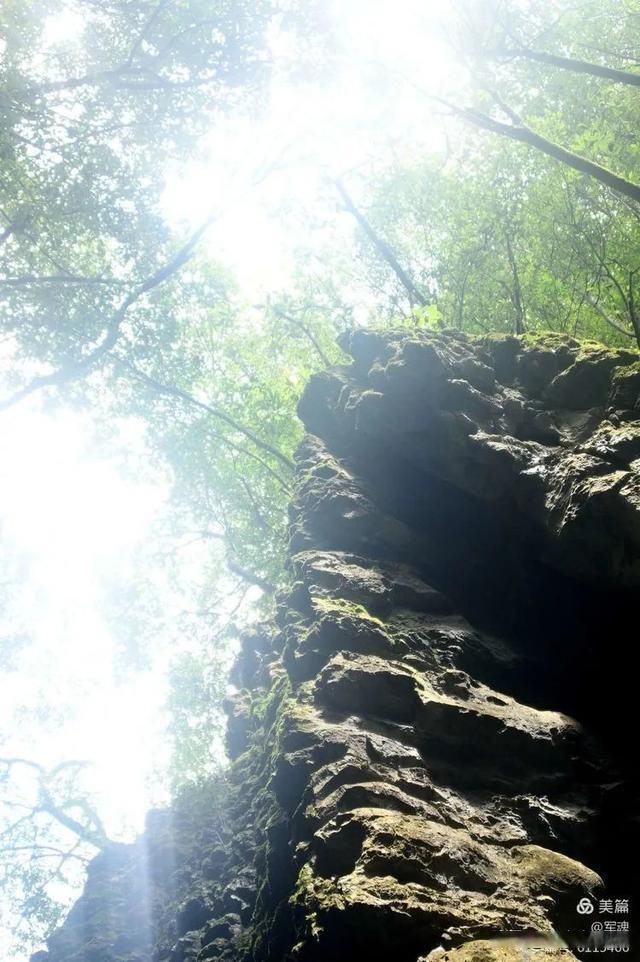 岩壁|探秘鬼斧神工的汉中“大屋基”地缝峡谷，秦巴深处的地质奇观