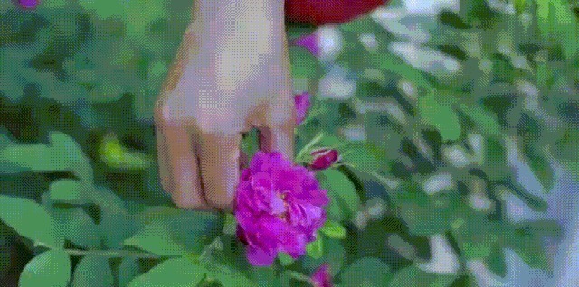 如果說(shuō)李子柒的生活對(duì)我們不切實(shí)際，那她穿的衣服我們倒能學(xué)學(xué)