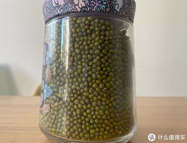 马齿笕|夏天的宝,农民的草马齿苋