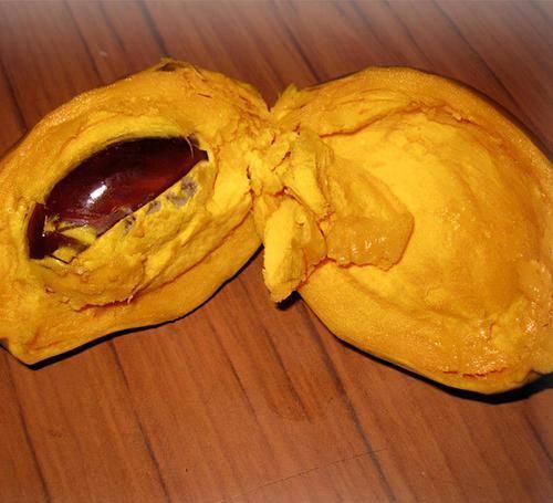 补气养血|女性想变美,不妨多吃以下食物,滋补强身,补气养血,试试看