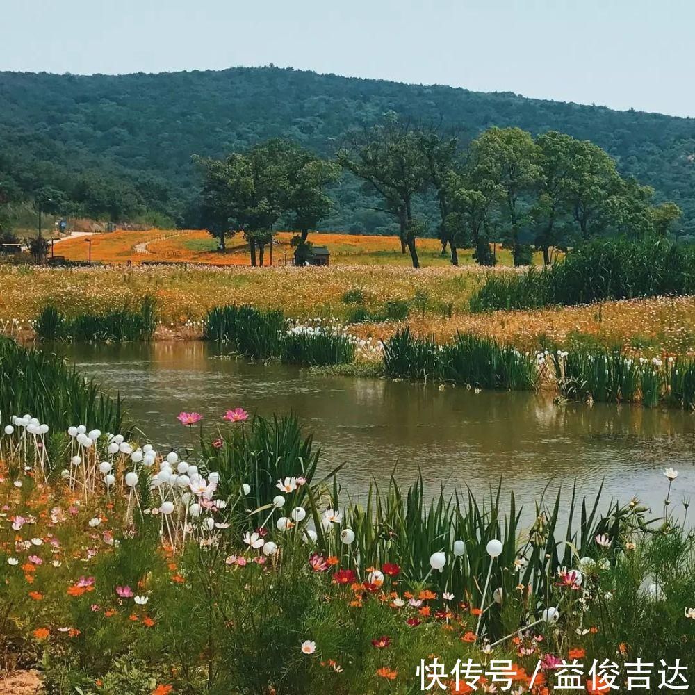 拈花塔|中国最美的禅意小镇，这才是中国人该住的居所