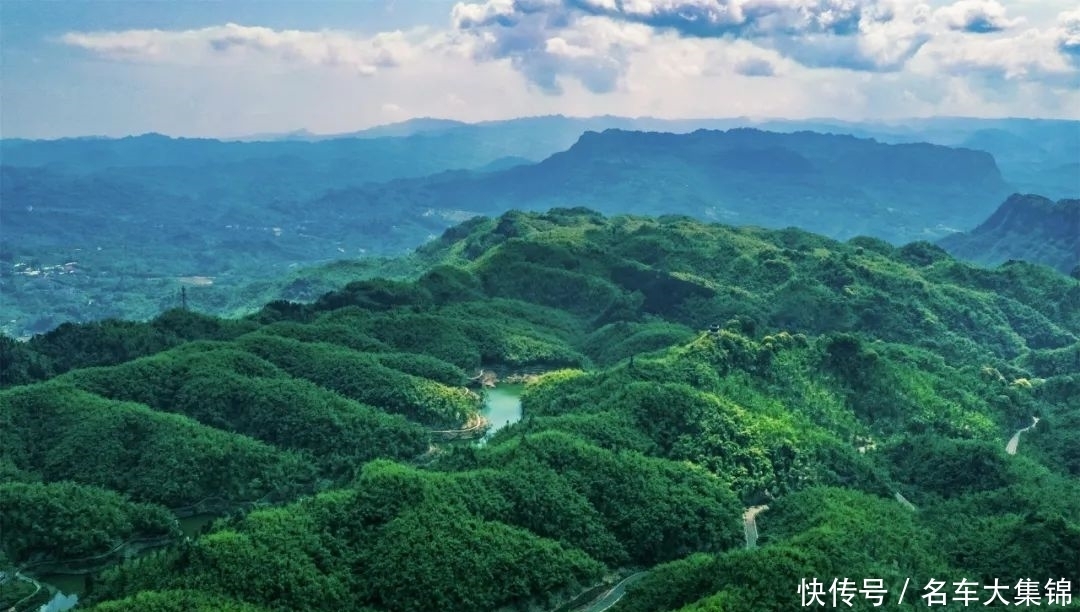 田园风光|「沐川竹海」看满目的绿，享透心的凉