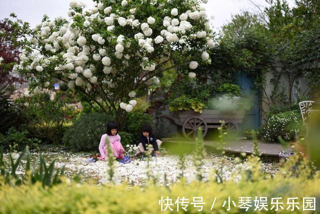 植物|12年搬家13次，43岁的她终于送给女儿3000平米超大花园