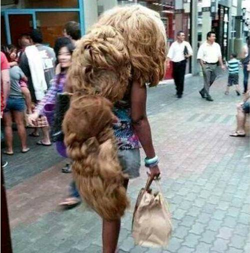 |搞笑图片幽默段子笑话狗子咋看你有气无力的呢,遇到什么事了么