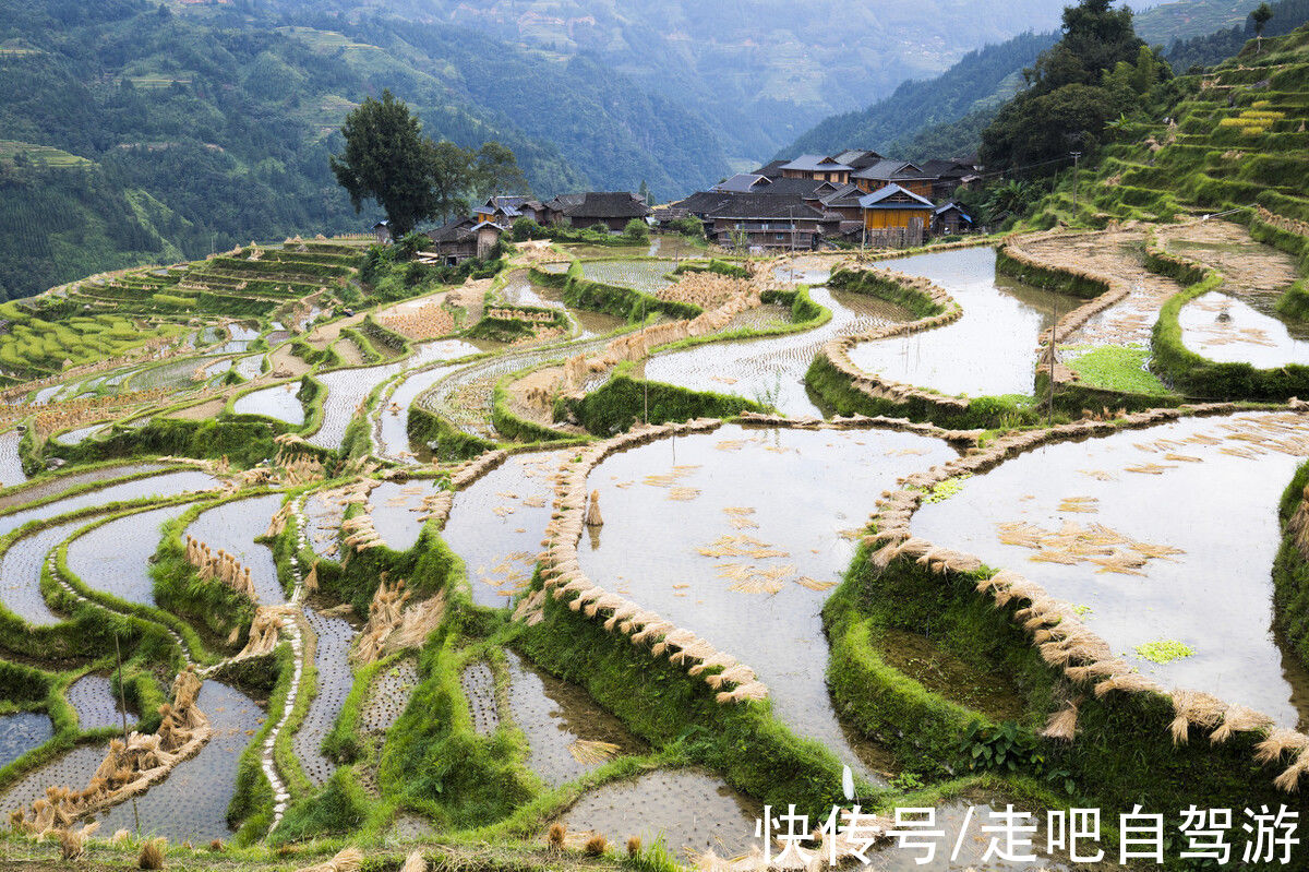 贵州|假如没有贵州，中国的春天就要凋零一半