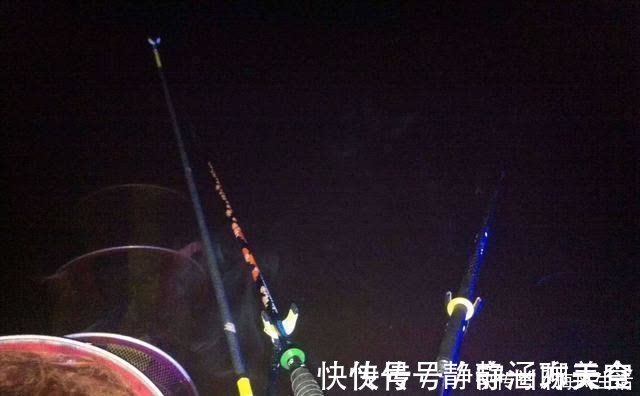 我一个酷爱夜钓的人,总能找到低温风浪环境下的夜钓鲫鱼法……