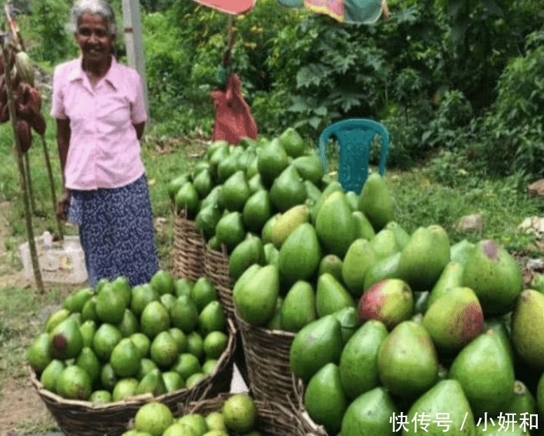 水果界最大的骗局，难吃还没营养，产量明明很大却卖几十元一颗