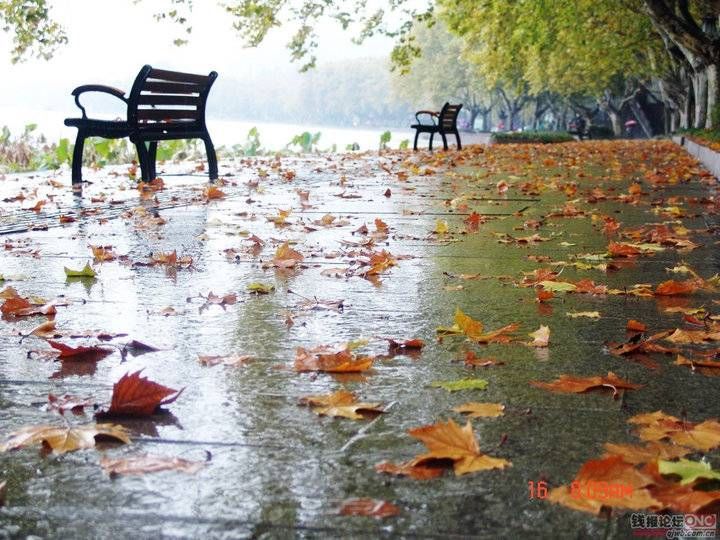 青未了|「青未了?王义尚专栏1」秋雨是剂良药（外五 首）