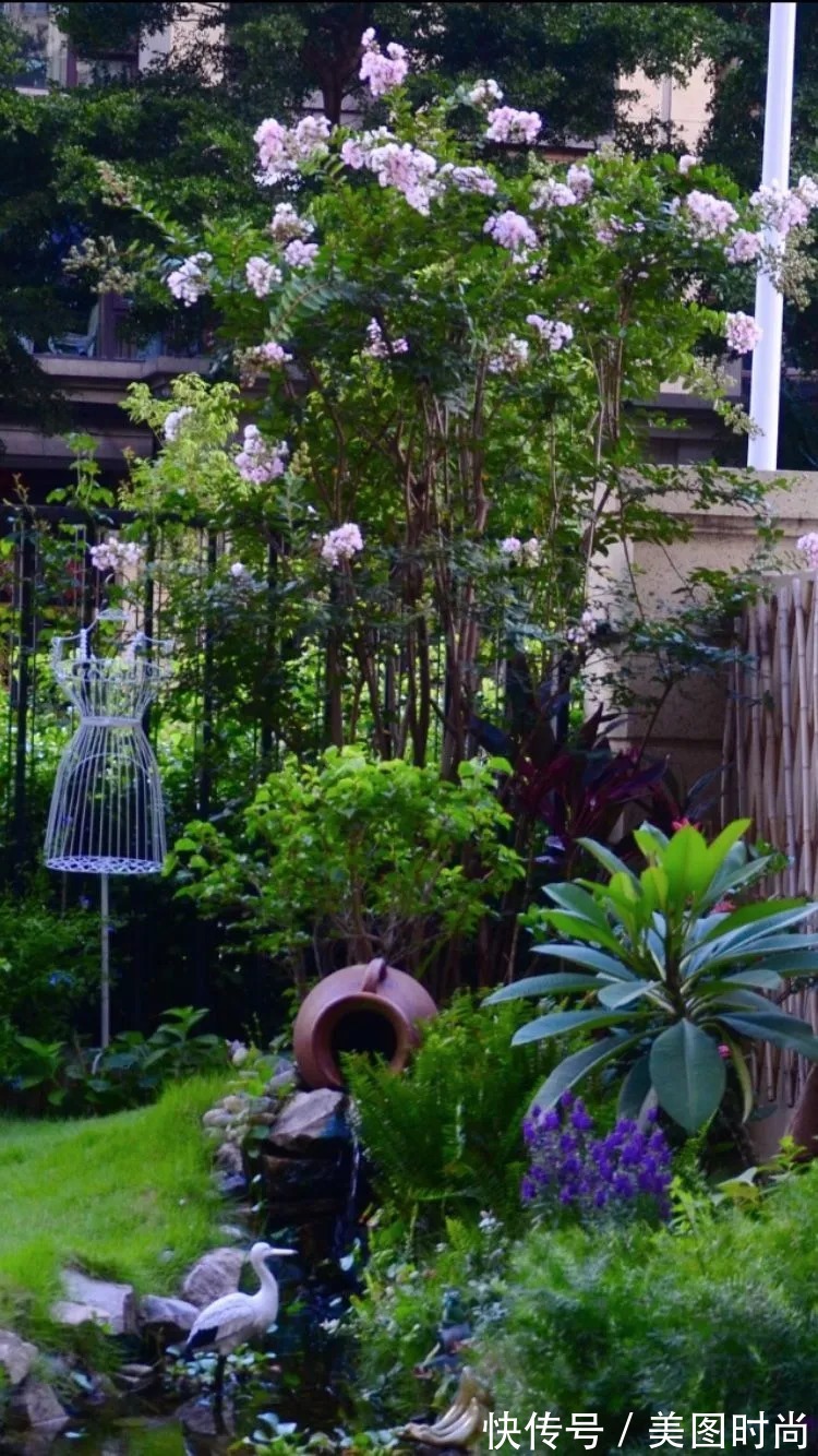 三角梅|120㎡别墅花园改造,经过三年的努力,小院从荒地到花开满园