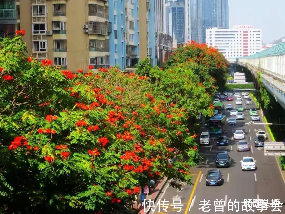 万一平|如果看待厦门高房价