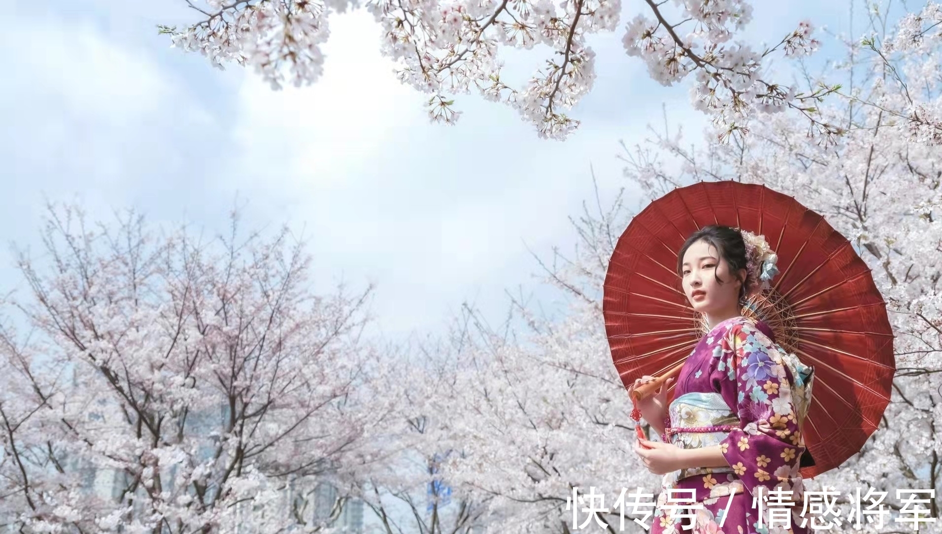 犬豚!七言格律:春飞玉宇空来鹤,酒兴山川乱卷云