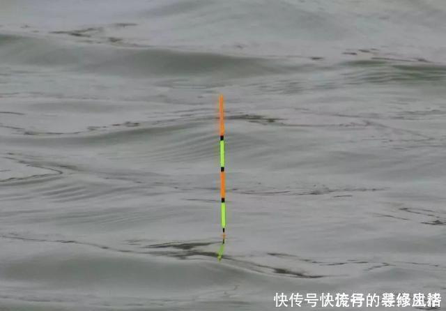 饵料|漂相很稳就是打不中鱼?解决起来挺简单,但要排除一个问题