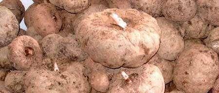 克星|此物是便秘的“克星”,每天吃点,排便又快又畅通,比药都管用