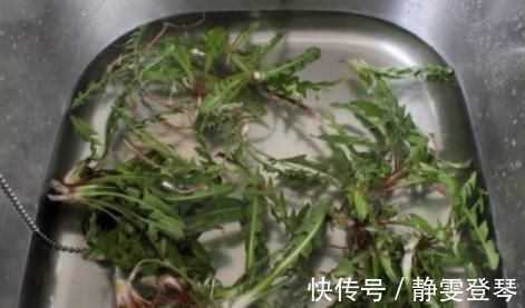 肝脏|蒲公英加上此物一起冲泡,坚持喝一个月,肝脏变干净,胃也更好了