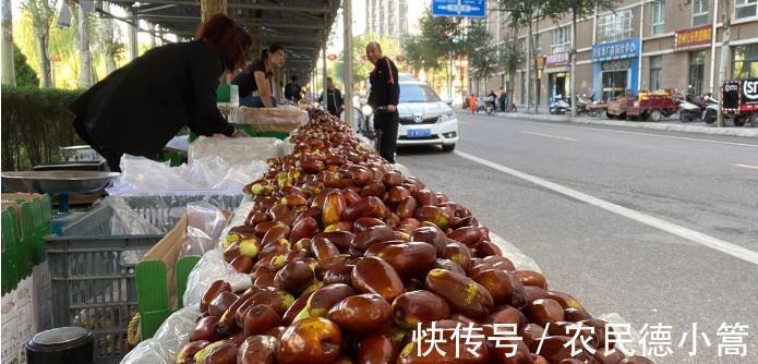 胶原蛋白|天凉了,女人多吃“营养全能冠军”,补充胶原蛋白,皮肤紧致细腻