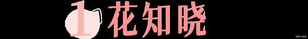 国货|橘朵疯了吗？怎么从“国货之光”变成这样了...