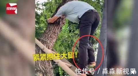 |又可怜又搞笑!猫咪被救时紧抱救援人小腿