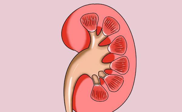 心源性水肿|老年人双腿、双脚浮肿，一定是得了疾病吗？真相来了