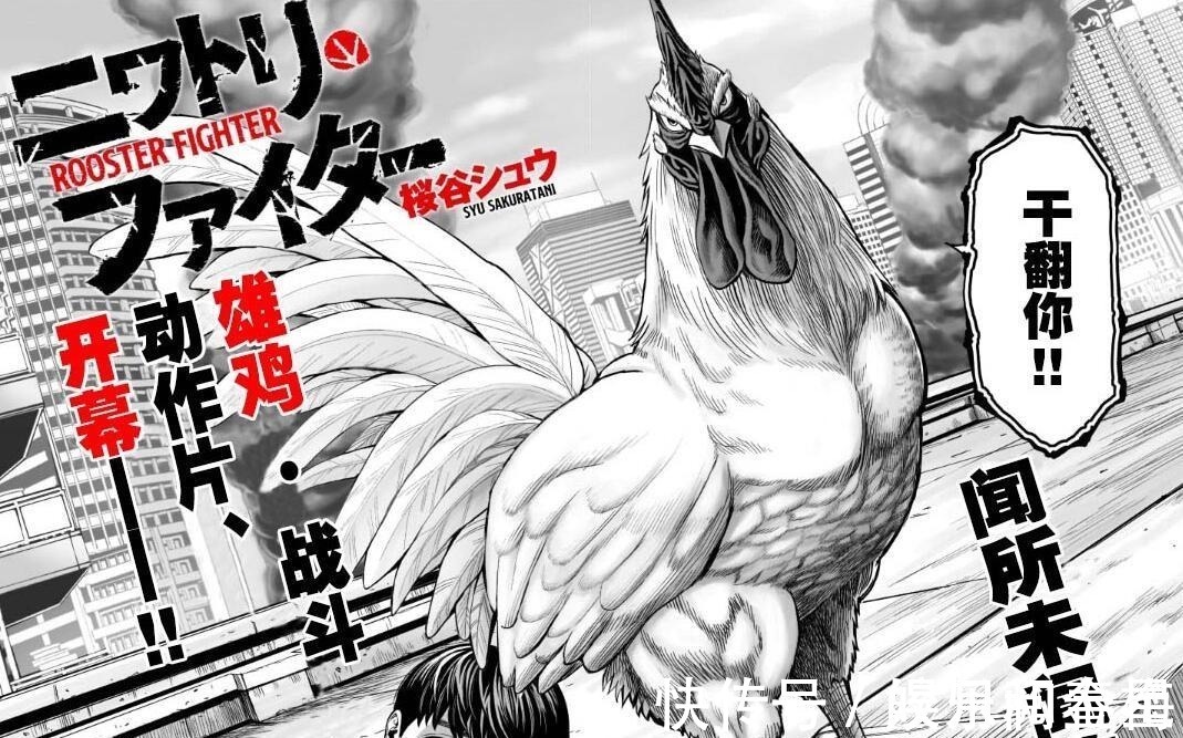 一拳超人|漫画推荐“战斗鸡”成主角,设定酷似《一拳超人》,神作预定