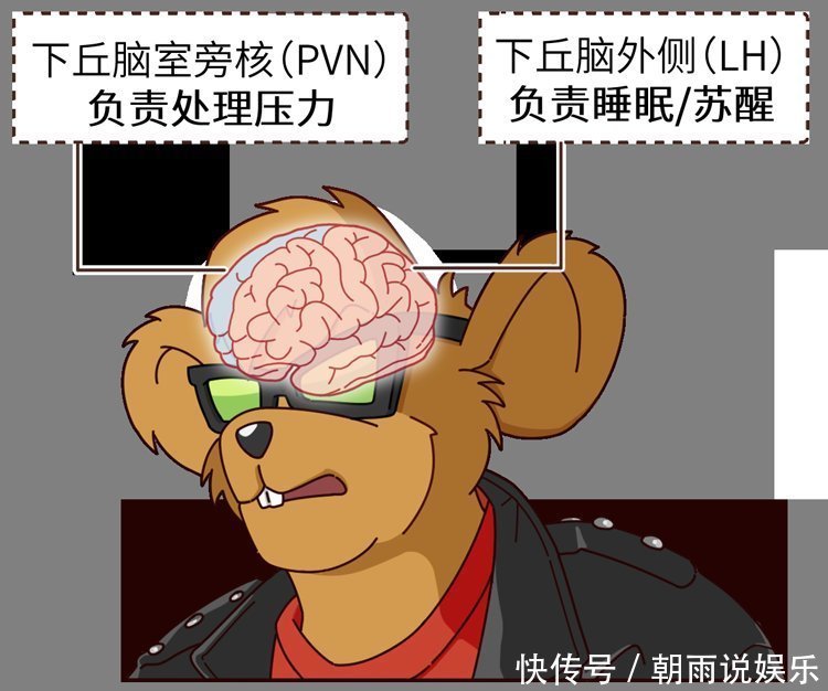 翻来覆去睡不着,半夜还会醒过来4招让你入睡轻松点,不吃药