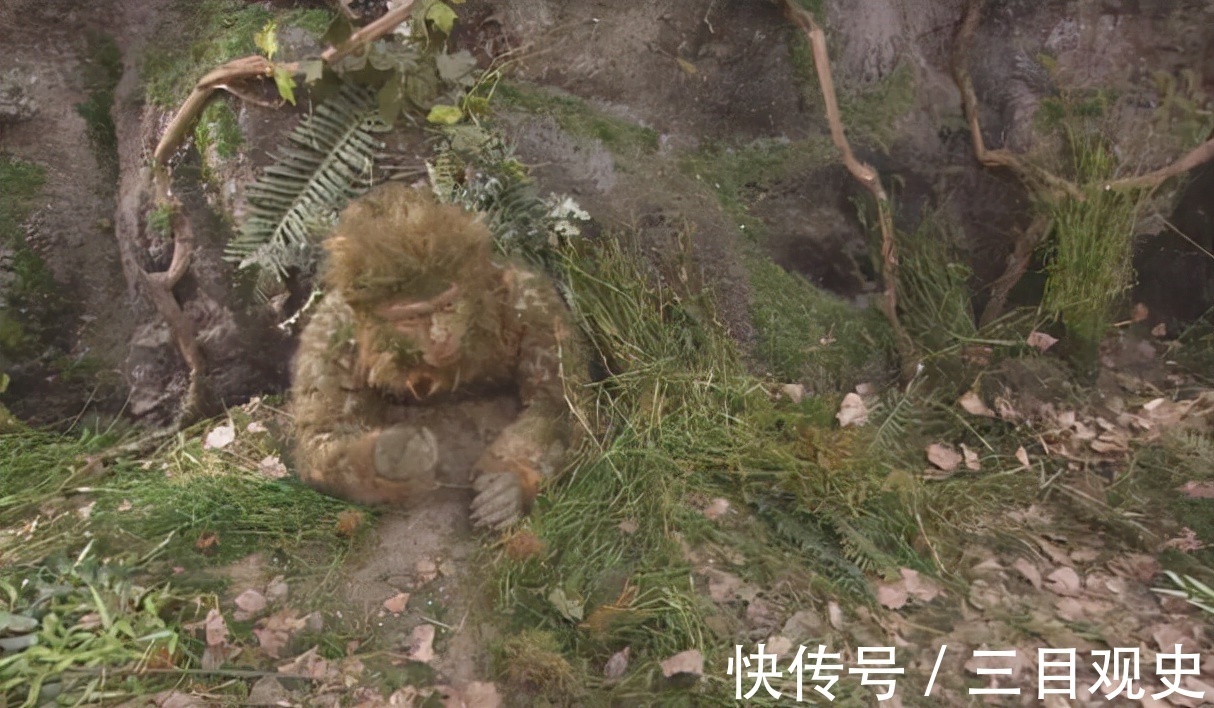 西游记$西游记三大骗局:大闹天宫的真相,孙悟空也不过是别人手中的傀儡