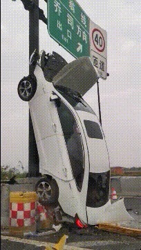 |搞笑GIF:这就是我想要的生活,面朝大海、春暖花开,伊人在怀…