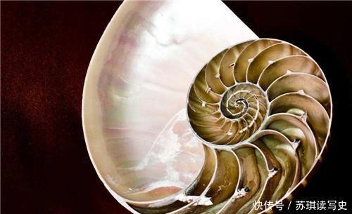 酒杯|古墓发掘诡异“酒杯”,酒怎么喝都喝不空,X光下专家才恍然大悟