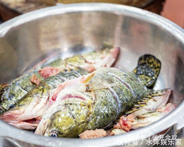 炖鱼时,加醋加酒去腥是大错特错,放“它”才正确,一点都不腥