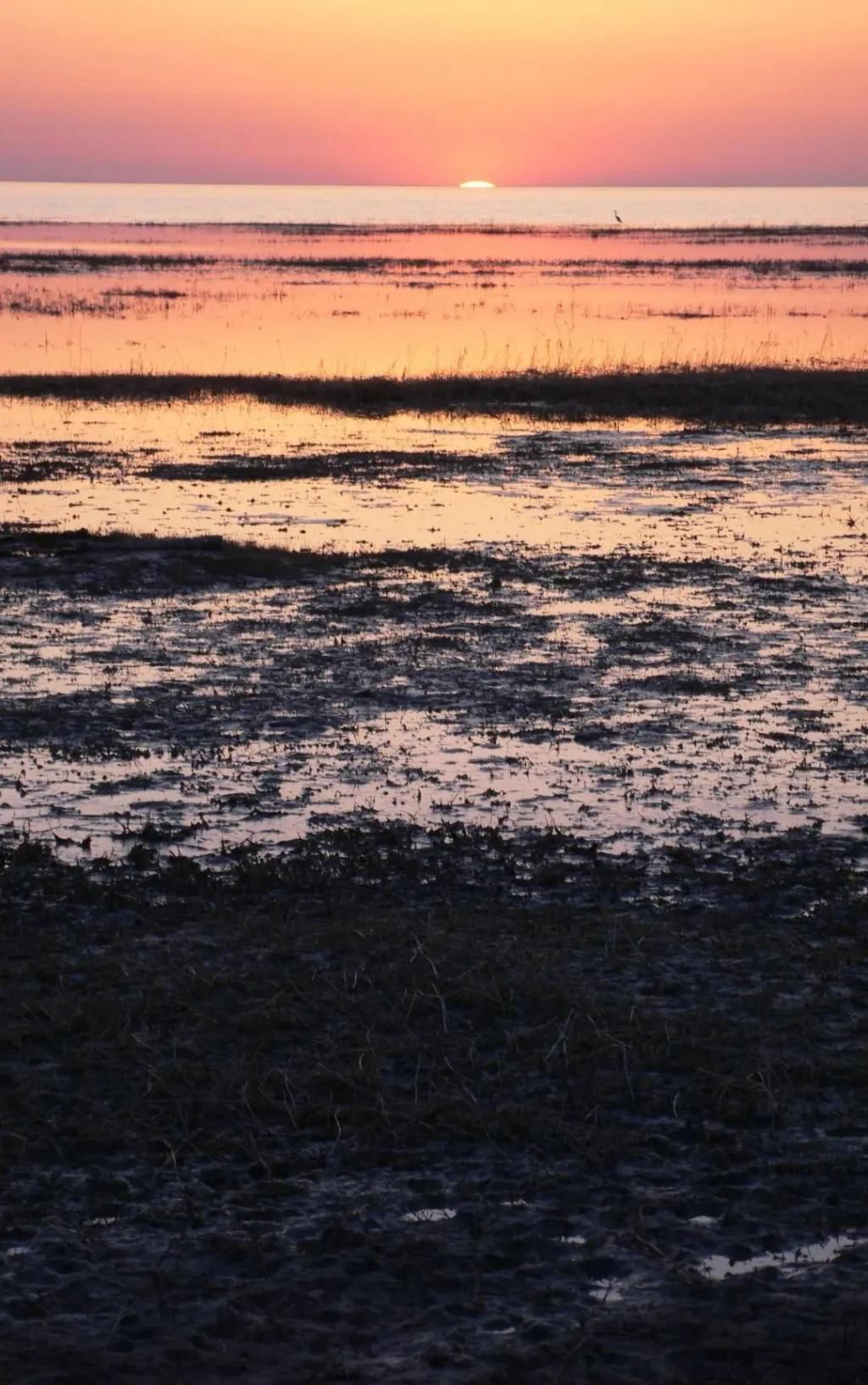  视觉|艺境徜徉——视觉记录