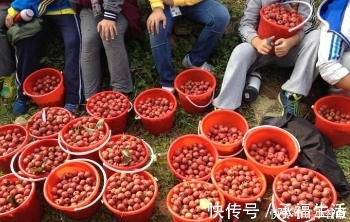 睡眠质量|长期失眠的人，这3种“安眠”食物要多吃或许让你“沾床就睡”