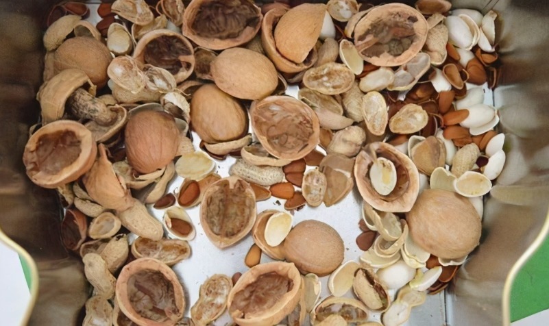 养花肥|这3样东西扔掉太可惜,学会正确方法制成养花肥,省钱、效果好