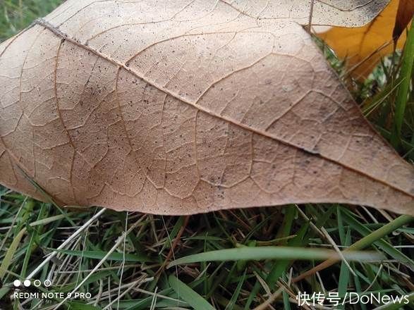 屏幕|制霸千元5G市场：Redmi Note 9 Pro动手玩