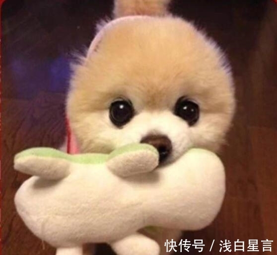 |笑话十则:其实我根本就没参选!红包还没领完,我就被踢了