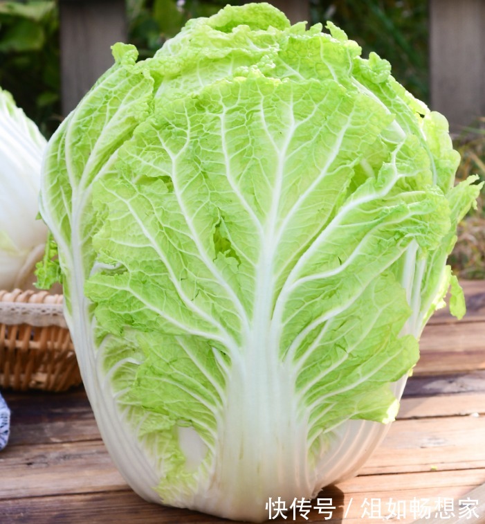 菜市场|买白菜时，选绿的还是白的好老菜农不小心说漏嘴，别再买错了