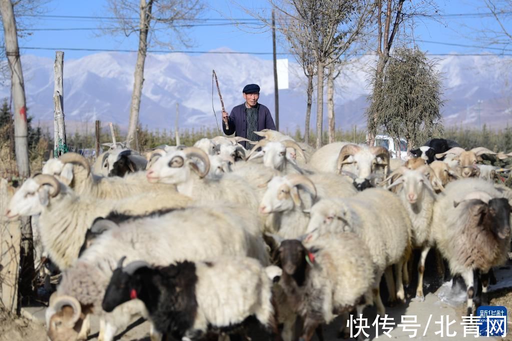 吴玉清|幸福的味道——土乡人家贺新年