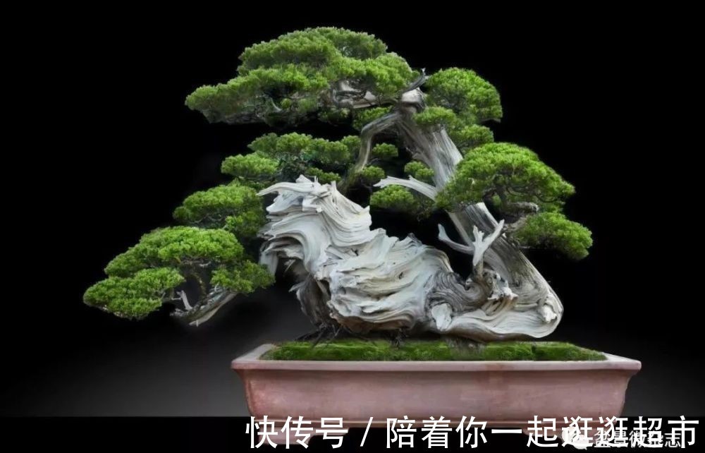 极致|日本人把住宅做到了极致,到底有哪些惊人的细节?