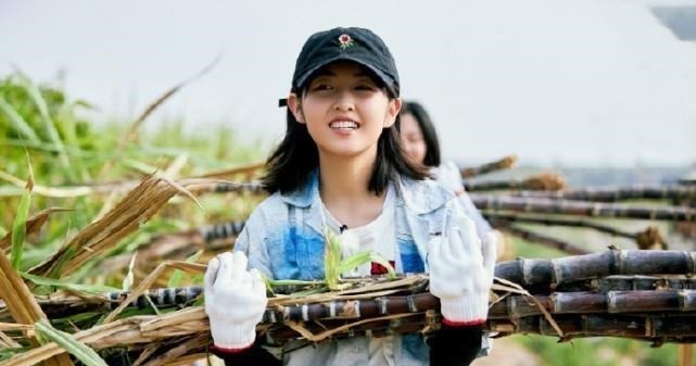 张子枫|张子枫帮何炅搬行李, 脚上的鞋子成焦点, 是不是来干活的一目了然