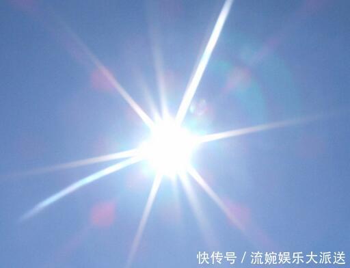 君子兰|君子兰都是被浇死的老花农教你以下几招,3分钟学会正确浇水方