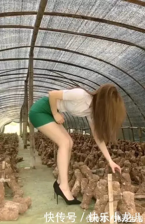 短裙 一身白领的造型,与乡村的风景格格不入?