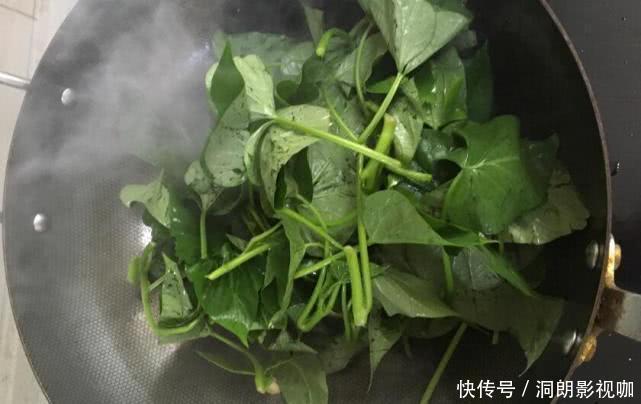 红薯藤|“此菜”在农村没人吃,城里几块钱一斤,炒一盘上桌就抢空!