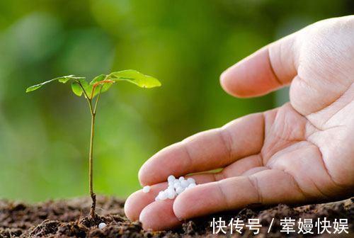 养花“养根”很重要，5个小妙招，白根粗壮，半年撑爆盆！