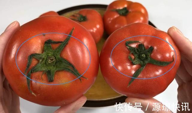 鉴别|买西红柿时要小心“激素西红柿”,学会4个方法,轻松鉴别