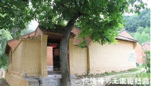 家门前别乱种树,这3种树镇宅又养人,很多人都忽视了