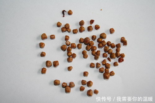 特效方|一张排石特效方，只有简单4味药，把身体里各种各样的瘀滞都化掉