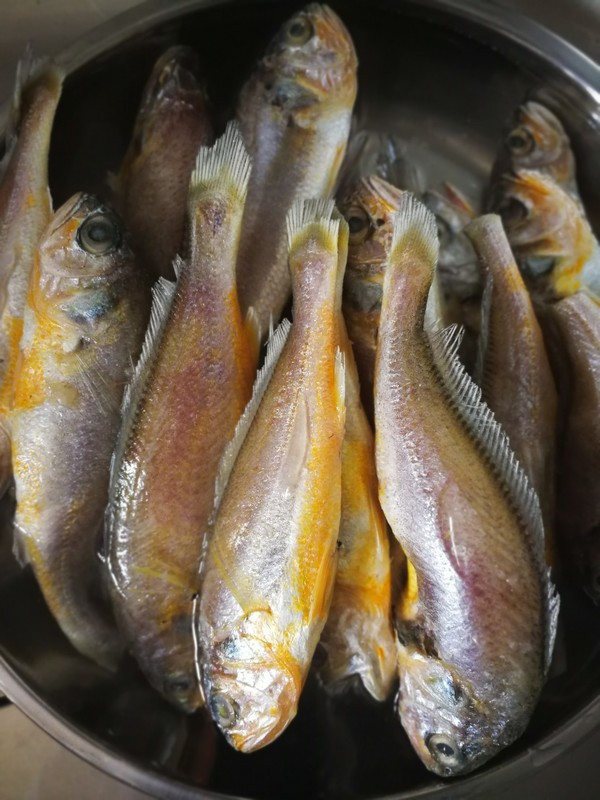 难怪煎鱼时总破皮,记住这一步,包你做出来金黄酥脆,完完整整