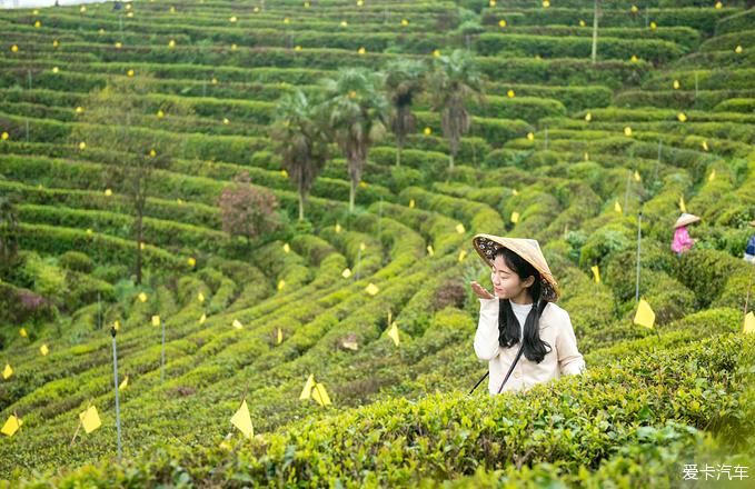 春日徒步旅行 探寻隐藏的小众秘境