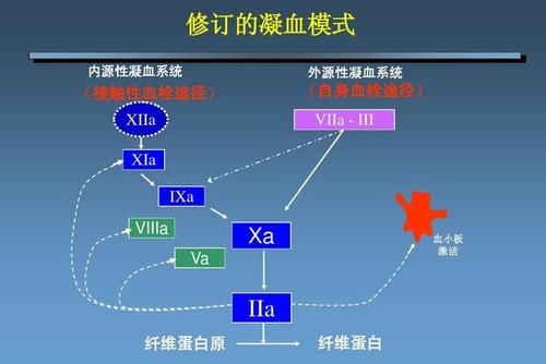 地中海贫血|血常规检查时,如果这三个指标升高,建议进行进一步检查