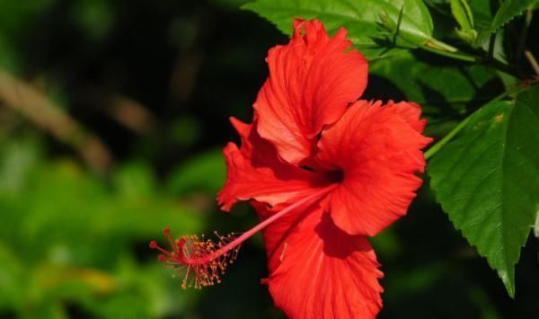 虎威&俗话说:人心隔肚皮,有4种人“面善心黑”,远离才能福运满满!