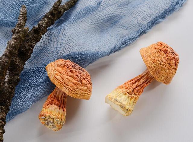 医生|33岁全职妈妈多处长疙瘩，查出宫颈癌，医生3个异象别忽视